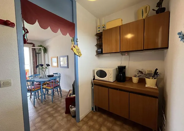 T2 Avec Piscine, Parking, Animaux Admis - Proche Saint-cyprien - Fr-1-106-84 Apartament *
