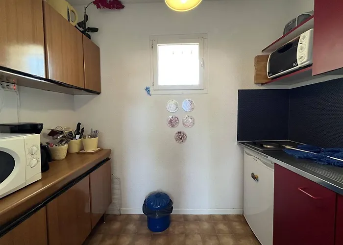 T2 Avec Piscine, Parking, Animaux Admis - Proche Saint-cyprien - Fr-1-106-84 Saint-Cyprien (Pyrenees-Orientales)